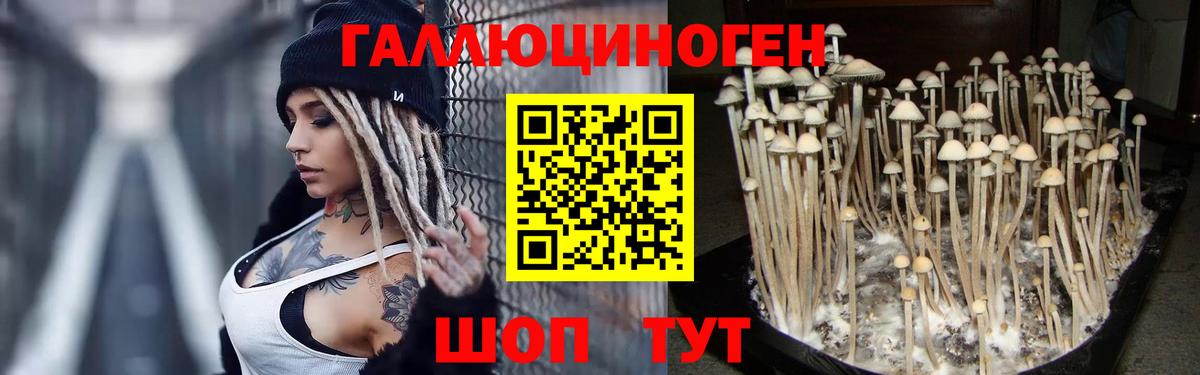 Псилоцибиновые грибы Magic Shrooms  Псилоцибиновые грибы Psilocybe  Вход с VPN  Нефтекумск 
